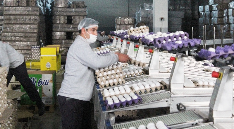 Son bir ay içerisinde, yumurtanın koli fiyatına yüzde 30 zam geldi