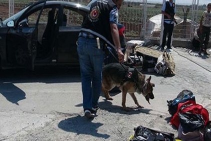 Son bir haftada sınırda yakalanan silahlar adeta cephanelik gibi