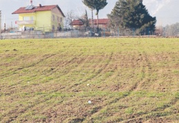 Son yağışlar çiftçiye ilaç gibi geldi