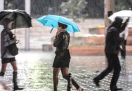 Son yağışlar çiftçiye ilaç gibi geldi