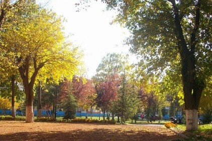 Sonbahar, doğayı sarıya boyadı…