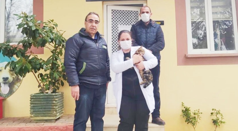 Sopalı saldırıya uğrayan kedi tedavi ve bakıma alındı