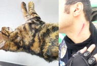 Sopayla önce kediye eziyet etti, sonra kendisini uyaran zabıtaya saldırdı