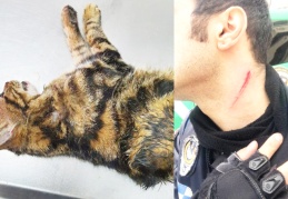 Sopayla önce kediye eziyet etti, sonra kendisini uyaran zabıtaya saldırdı