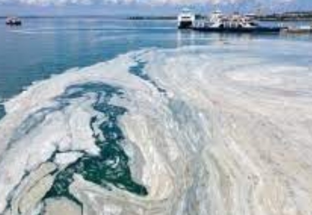 Sorun müsilaj değil kirlilik