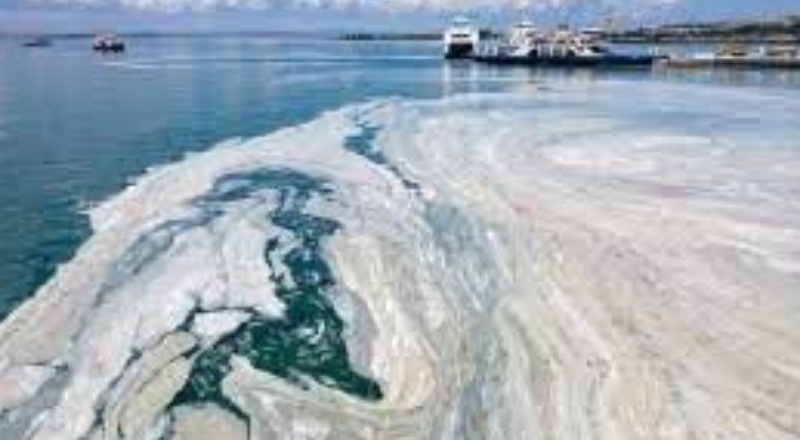 Sorun müsilaj değil kirlilik