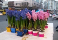 Sparta Kralı’nın genç oğlu