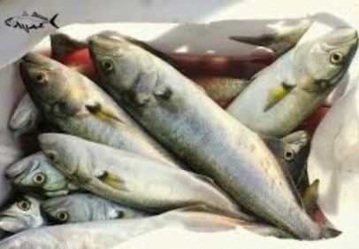 Su ürünleri üretimi, yüzde 7.2 arttı