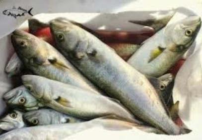 Su ürünleri üretimi, yüzde 7.2 arttı