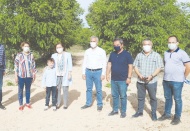 Su ve yeşilin bulaşacağı Vadi Alleben için çalışmalar başlıyor