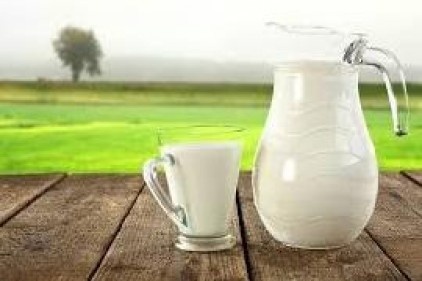 Şubat ayında 698 bin 361 ton inek sütü toplandı