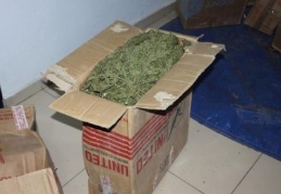 SUç örgütü kurdular