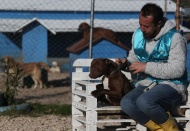 Suçlu, köpek değil, ona bakan sahibidir