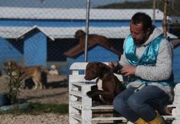 Suçlu, köpek değil, ona bakan sahibidir