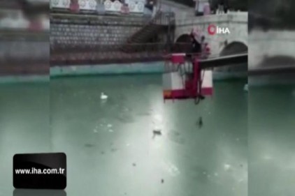 Suda ayakları donan kazları itfaiye kurtardı