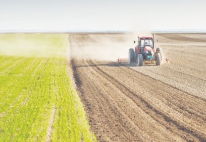 Sudan, Türkiye'ye 100 bin hektar tarım arazisi tahsis etti