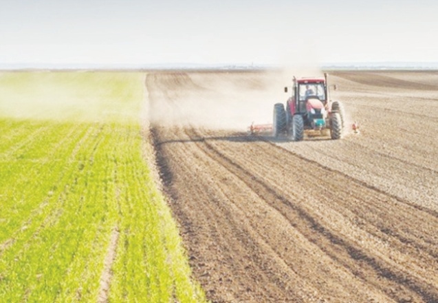 Sudan, Türkiye'ye 100 bin hektar tarım arazisi tahsis etti