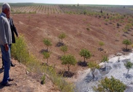 Sulama kanalındaki göçük, tarım alanları su altında bıraktı