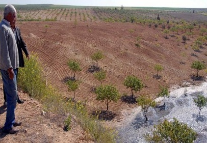 Sulama kanalındaki göçük, tarım alanları su altında bıraktı