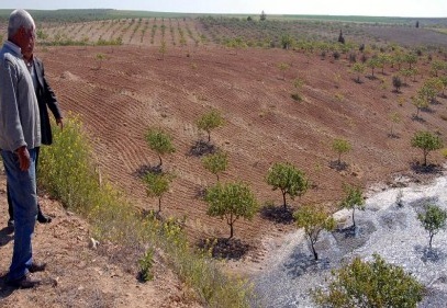 Sulama kanalındaki göçük, tarım alanları su altında bıraktı