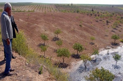 Sulama kanalındaki göçük, tarım alanları su altında bıraktı