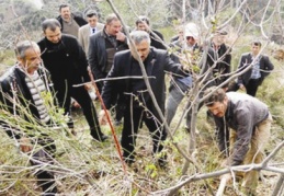 Sultanhisar’da Menengiçler Antepfıstığı’na dönüşüyor 