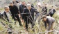 Sultanhisar’da Menengiçler Antepfıstığı’na dönüşüyor 
