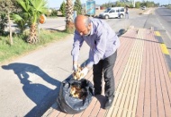 Şüpheli poşetten bayat ekmek çıktı