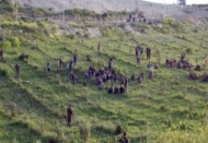 Suriye sınırında bin 800 kaçakçı yakalandı