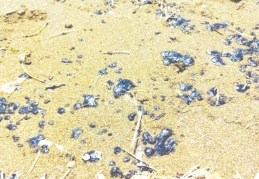 Suriye'deki petrol sızıntısı Samandağ kıyılarına ulaştı