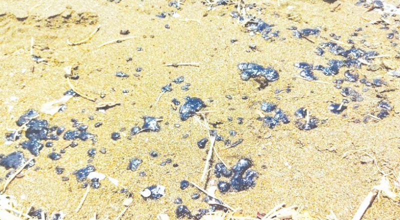 Suriye'deki petrol sızıntısı Samandağ kıyılarına ulaştı