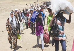 Suriye’den gelenler yeni kimliklerle çalışma imkanı bulacak
