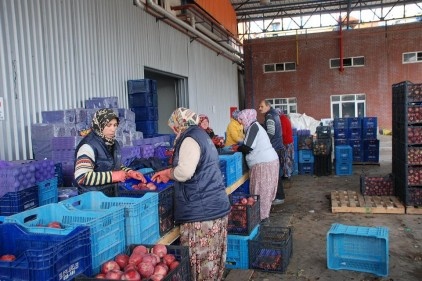 Suriyeliler&#8217;e Bigadiç&#8217;ten 40 ton elma