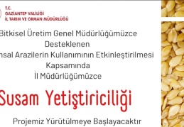 Susam yetiştiriciliği proje başvurusunun son günü 22 Nisan