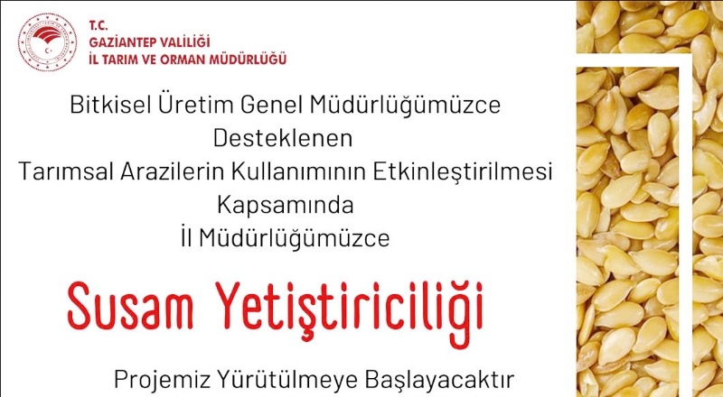 Susam yetiştiriciliği proje başvurusunun son günü 22 Nisan