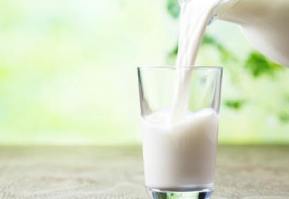 “Süt hayvanları tekrar kesime gitmeye başlar”