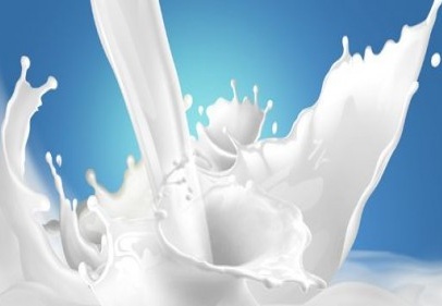 Süt için 4 bölge için 5 firma teklif verdi