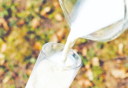 Süt üreticileri için yeni dönem