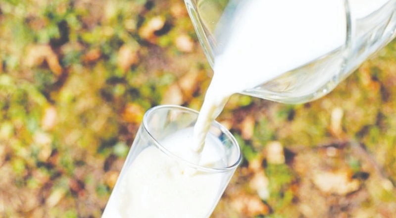 Süt üreticileri için yeni dönem