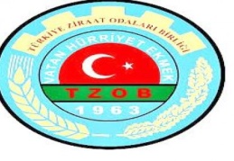 Süt üretminin 4'te biri 6 ilden