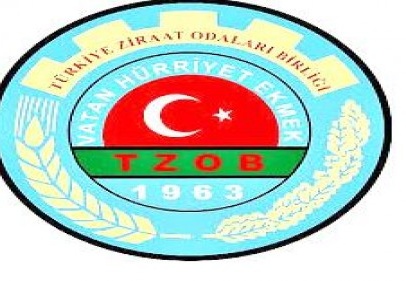 Süt üretminin 4'te biri 6 ilden