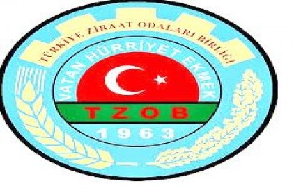 Süt üretminin 4&#039;te biri 6 ilden