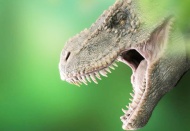 T-rex benzeri yeni bir dinozor türü keşfedildi