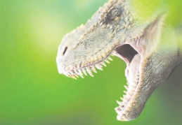 'T-Rex' dinozor türünün sanılandan oldukça yavaş yürüdüğü belirlendi
