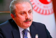 Taammüden adam öldürme, küçüklere, kadınlara karşı işlenen cinsel suçlara idam cezası düşünülebilir