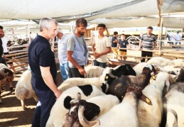 Tahmazoğlu kurban kesim alanlarını gezdi