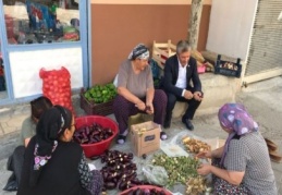 Tahmazoğlu, patlıcan oydu