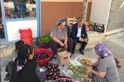 Tahmazoğlu, patlıcan oydu
