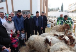 Tahmazoğlu’ndan üreticiye bedelsiz dev destek