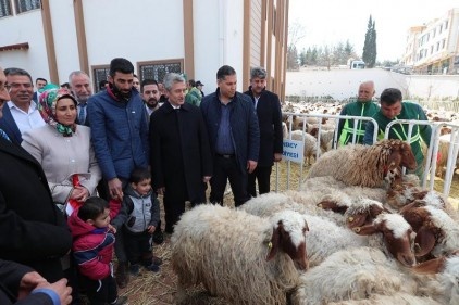 Tahmazoğlu&#8217;ndan üreticiye bedelsiz dev destek
